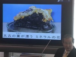 画像の説明